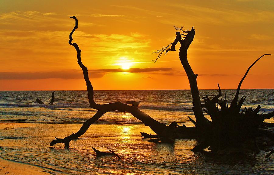 Sunset Photograph - Golden Sunrise by Paulette Thomas