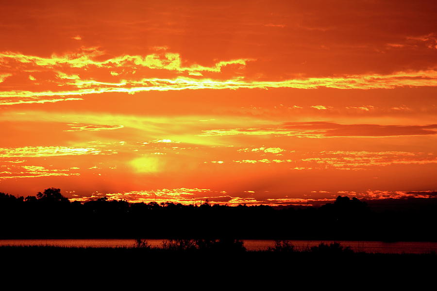 Golden Sunrise Photograph by Trent Mallett