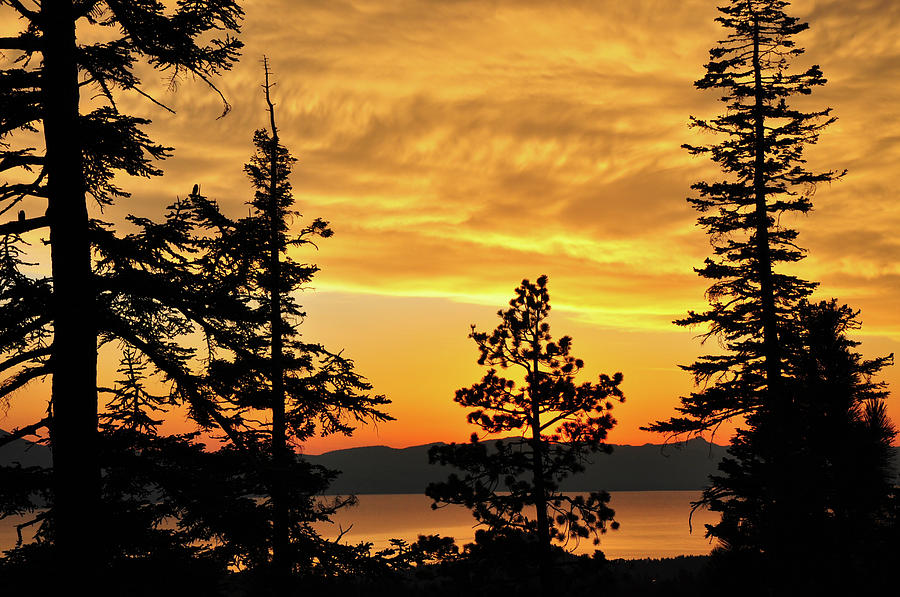 Golden Sunset 1 - Lake Tahoe - Nevada Photograph by Bruce Friedman