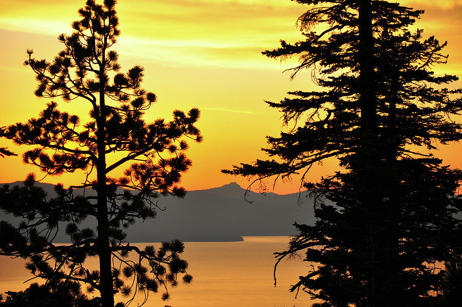 Golden Sunset 2 - Lake Tahoe - Nevada Photograph by Bruce Friedman