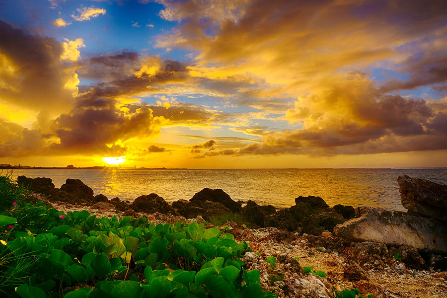 Golden Sunset Photograph by Amanda Jones