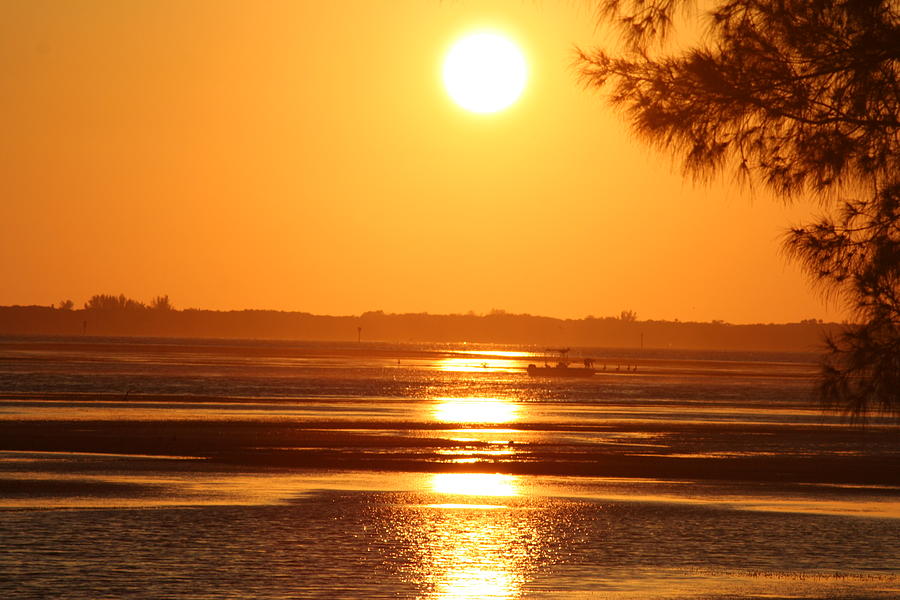 Golden Sunset Photograph by Anita Parker