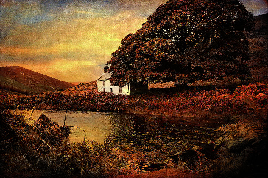 Golden Sunset at Lake.  Rural Ireland Photograph by Jenny Rainbow