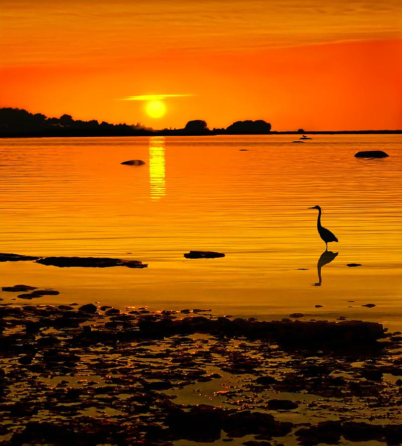 Golden Sunset at the Bay Digital Art by Jeff S PhotoArt