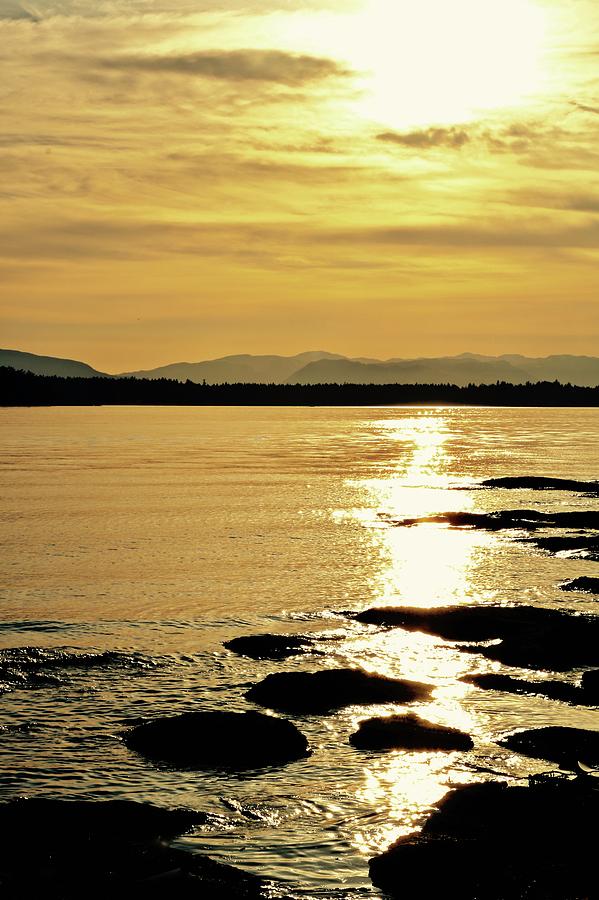 Golden Sunset Beachcomber Photograph by Brian Sereda