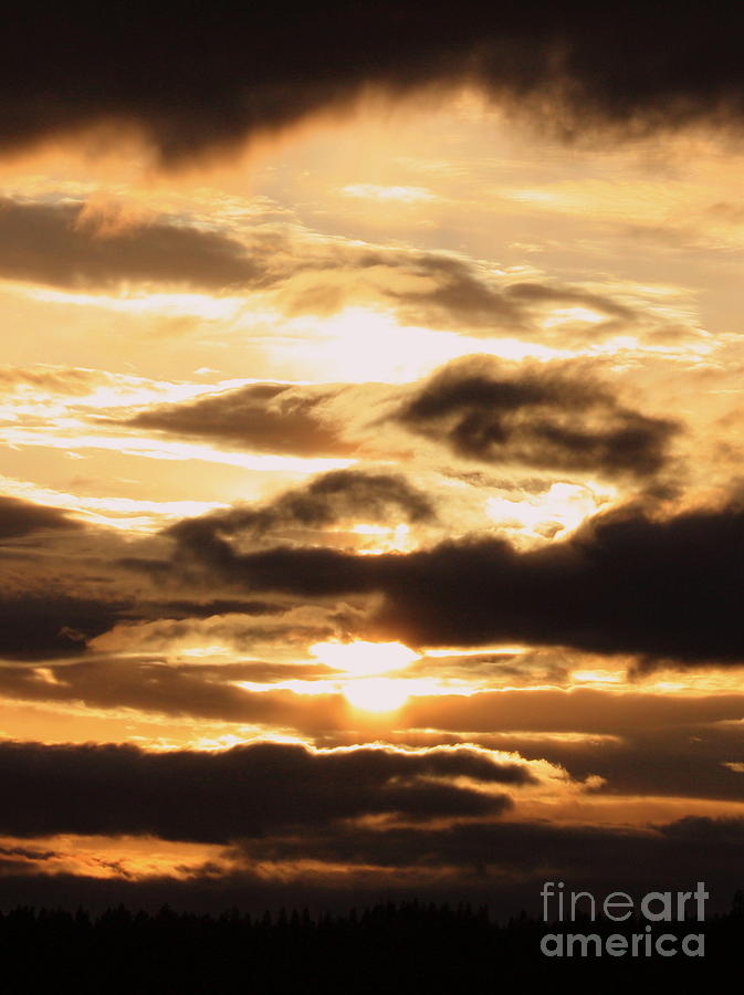 Sunset Photograph - Golden Sunset by Carol Groenen