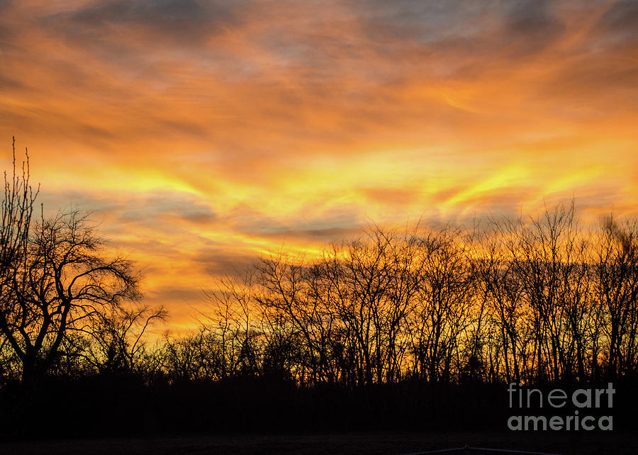 Golden Sunset Photograph by Cheryl McClure