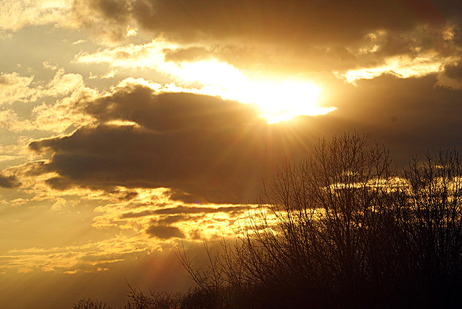 Golden Sunset Photograph by Cricket Hackmann