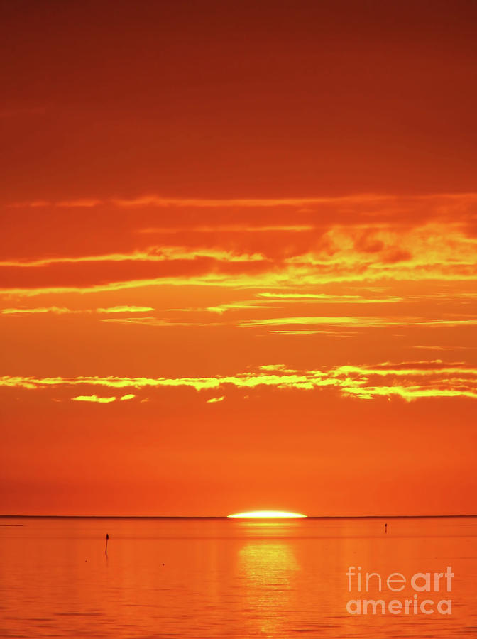 Golden Sunset Photograph by D Hackett