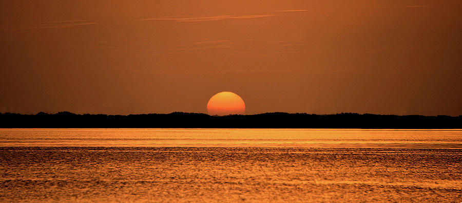 Summer Photograph - Golden Sunset by David Lee Thompson