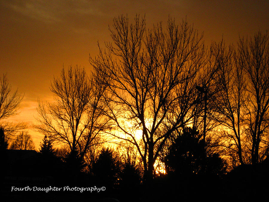 Golden Sunset Photograph by Diane Shirley