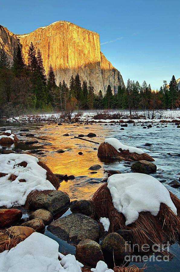 Yosemite National Park Photograph - Golden Sunset - El Capitan in Yosemite National Park. by Jamie Pham
