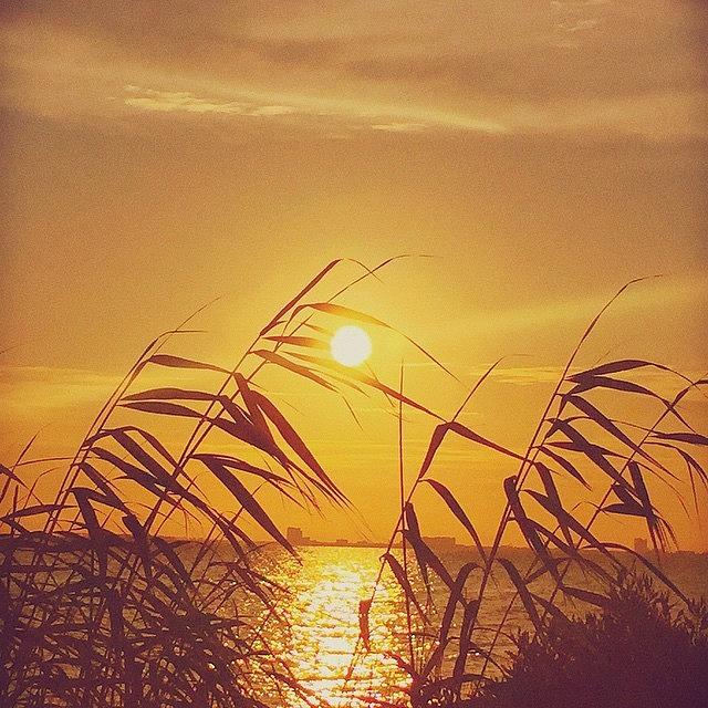 Sunset Photograph - Golden #sunset #enlight #msgulfcoast by Joan McCool