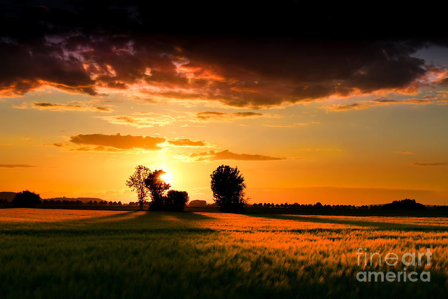 Golden Sunset Photograph by Franziskus Pfleghart