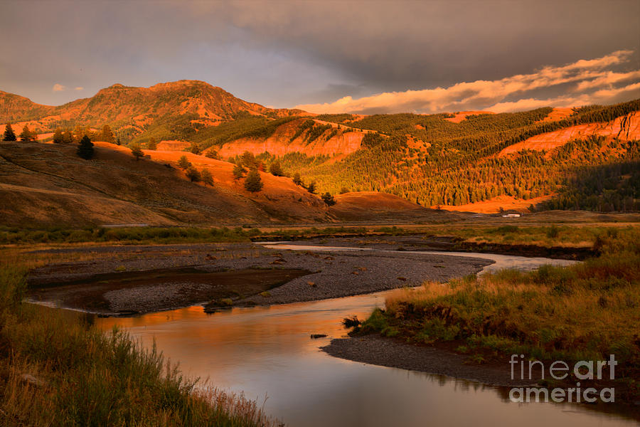Golden Sunset In Lamar Valley Photograph by Adam Jewell
