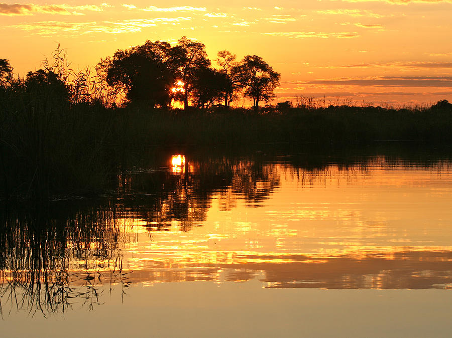 Golden Sunset in Namibia Photograph by Karen Zuk Rosenblatt