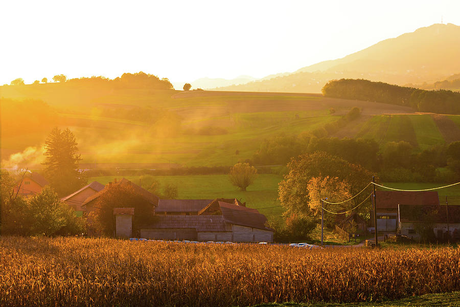 Golden sunset in rural region of Croatia Photograph by Brch Photography