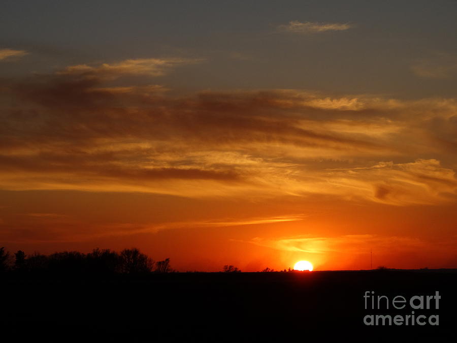 Golden Sunset Photograph by J L Zarek