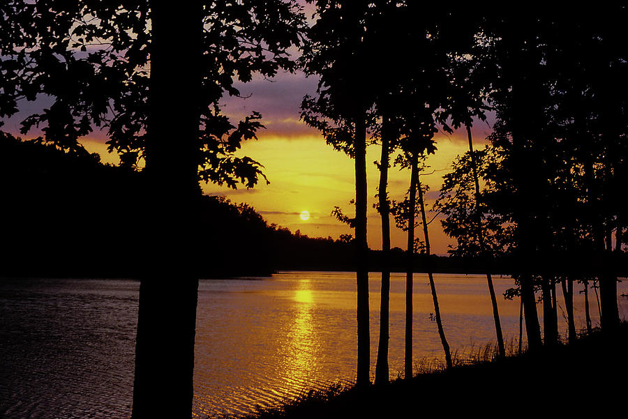 Golden Sunset Photograph by James L Bartlett