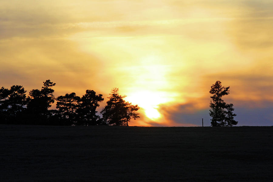 Golden Sunset Photograph by Joy Tudor