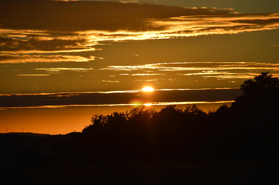 Golden Sunset Photograph by Kate Scott