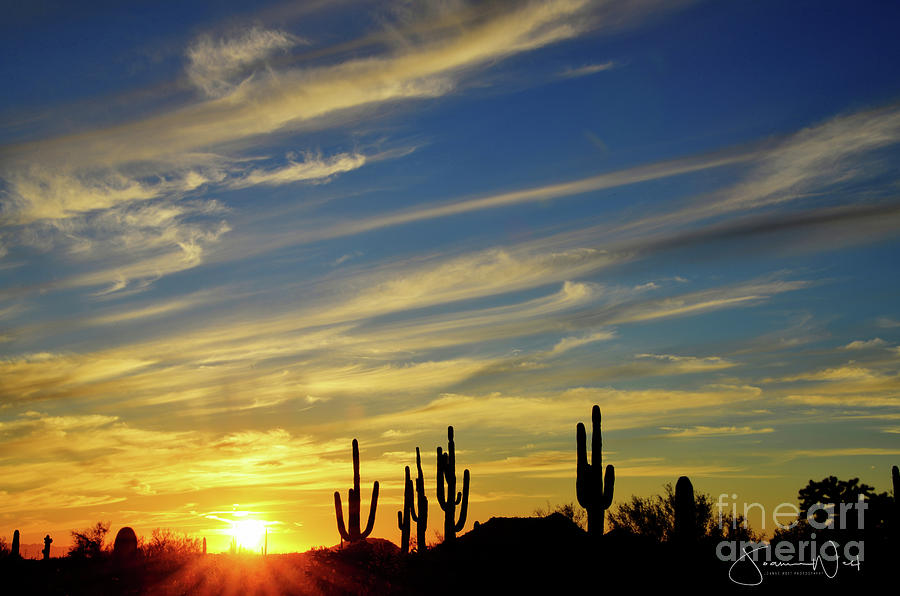 Golden Sunset Mesa AZ Photograph by Joanne West
