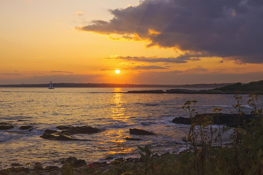 Golden Sunset Newport Photograph by Marianne Campolongo