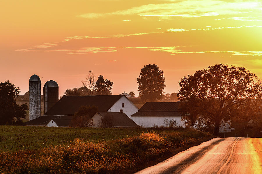 Golden Sunset on Amish Farm Photograph by Tana Reiff