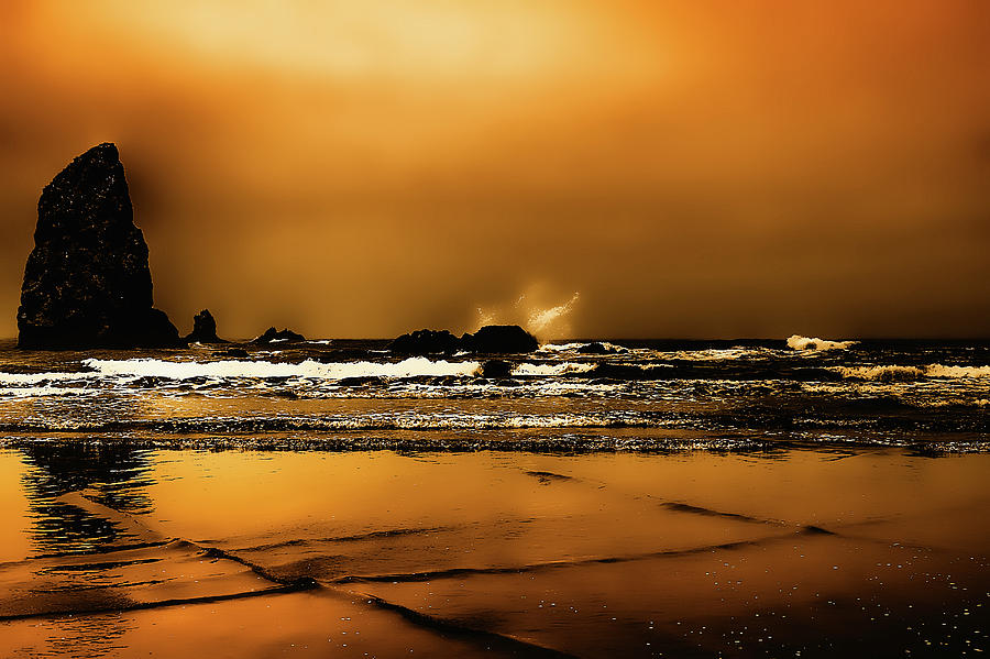 Golden Sunset on the Beach Photograph by David Patterson