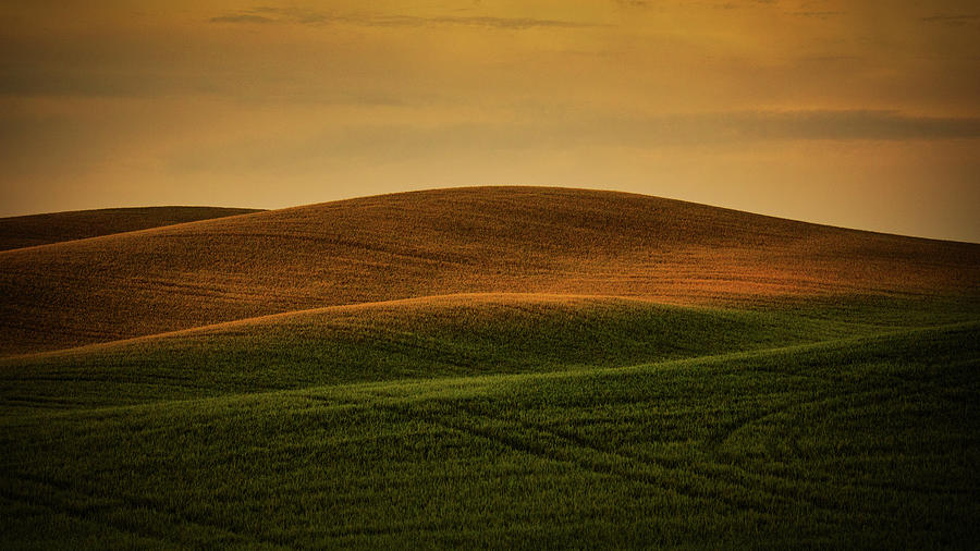 Golden Sunset on the Palouse Photograph by Jerry Fornarotto