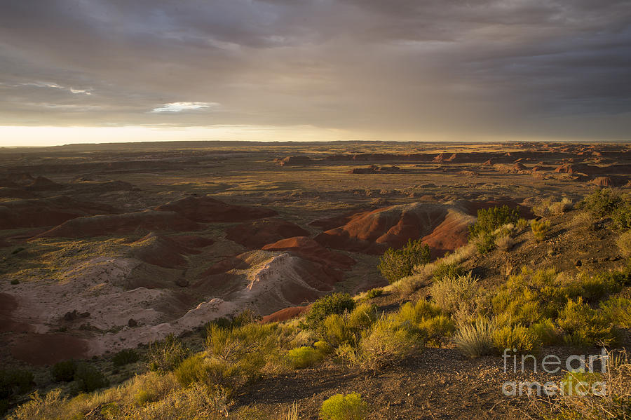 Golden Sunset Over the Painted Desert Photograph by Melany Sarafis
