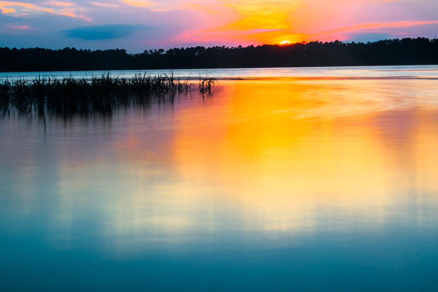 Golden Sunset Photograph by Parker Cunningham
