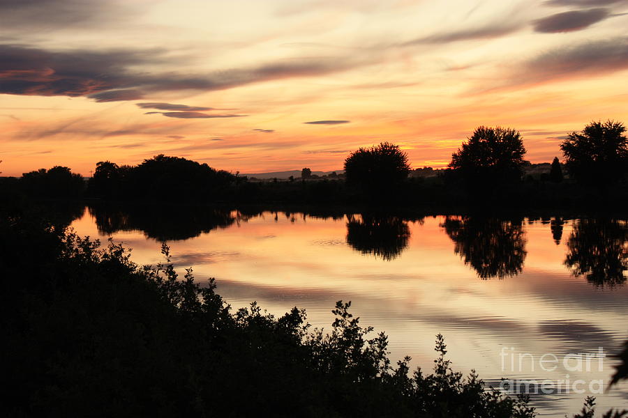 Golden Sunset Reflection Photograph by Carol Groenen