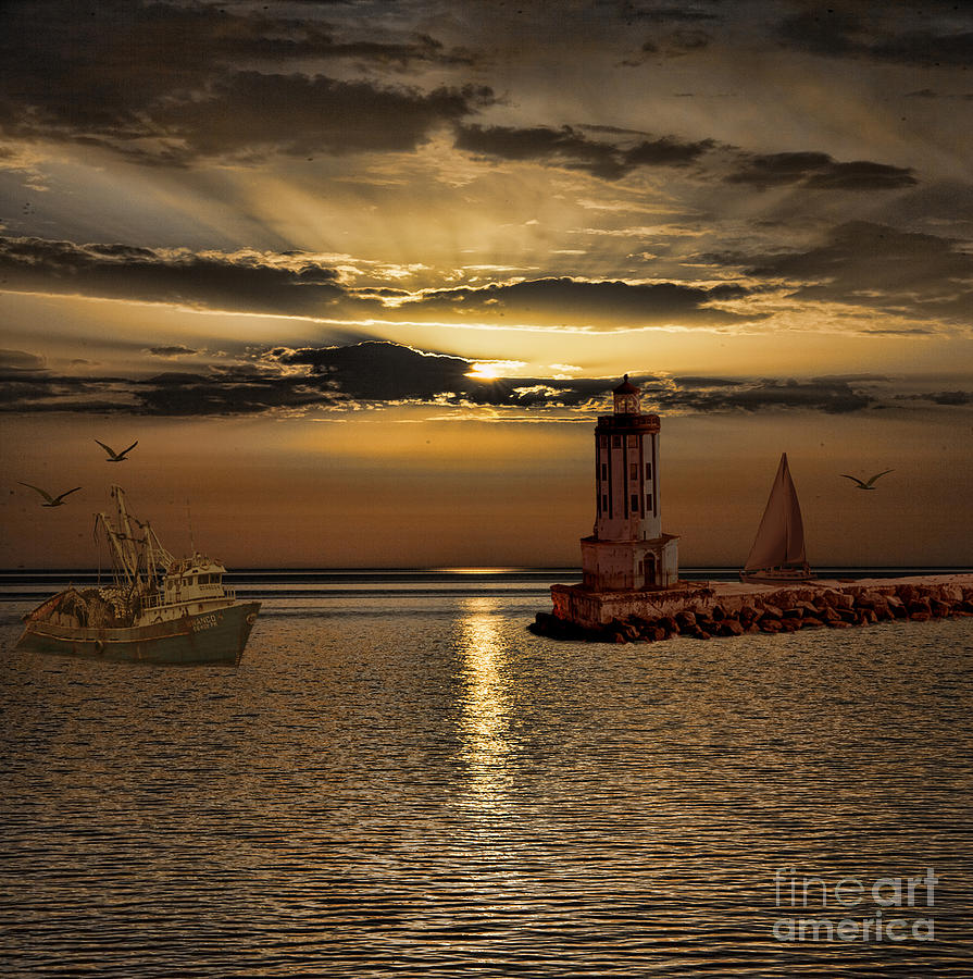 Sunset Photograph - Golden Sunset by Shirley Mangini