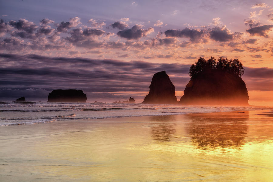 Golden Sunset Photograph by Spencer McDonald