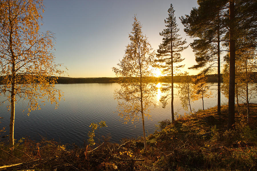 Golden sunshine illuminating the trees at a lake Photograph by Ulrich Kunst And Bettina Scheidulin