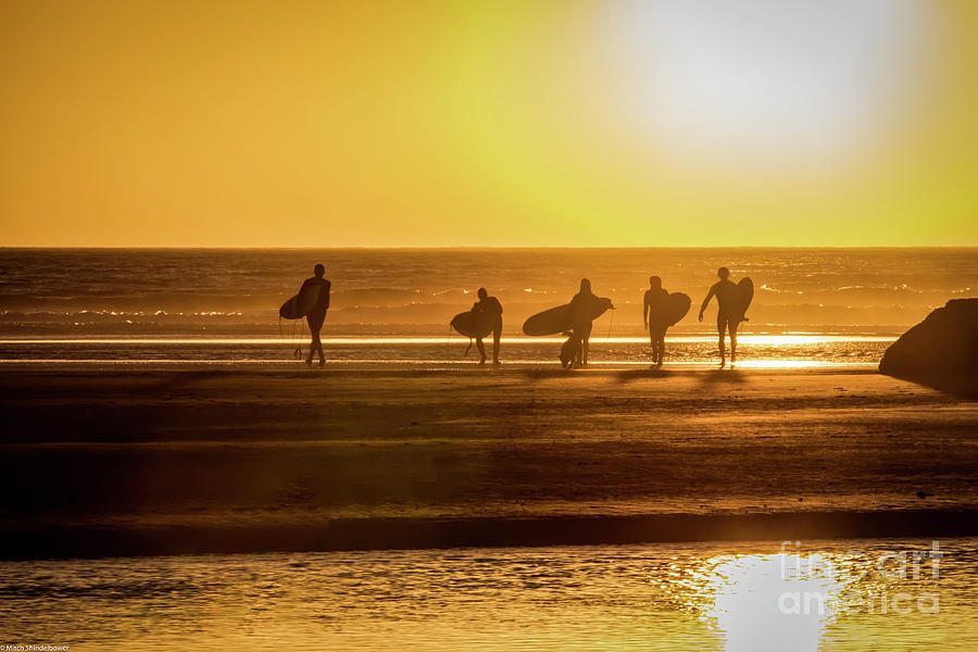 Golden Surfers Photograph by Mitch Shindelbower