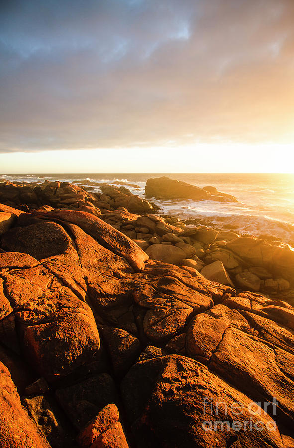 Golden Tasmania Coastline Photograph