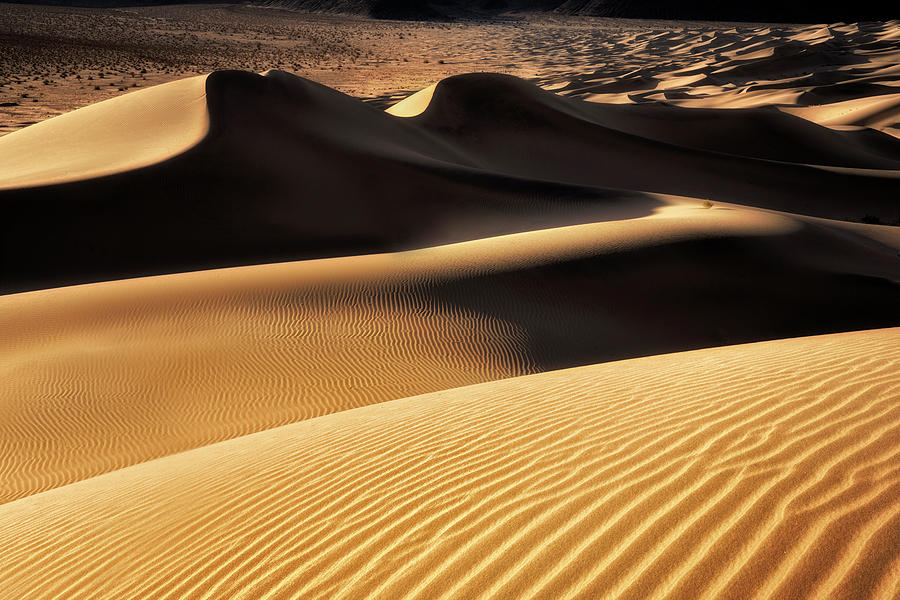 Death Valley National Park Photograph - Golden Textures  by Nicki Frates