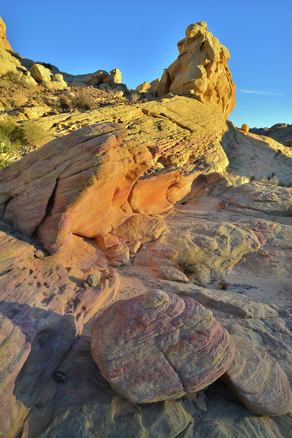 Golden Thumb In Valley Of Fire Photograph