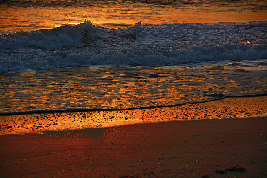 Golden Tide Photograph by Ben Prepelka