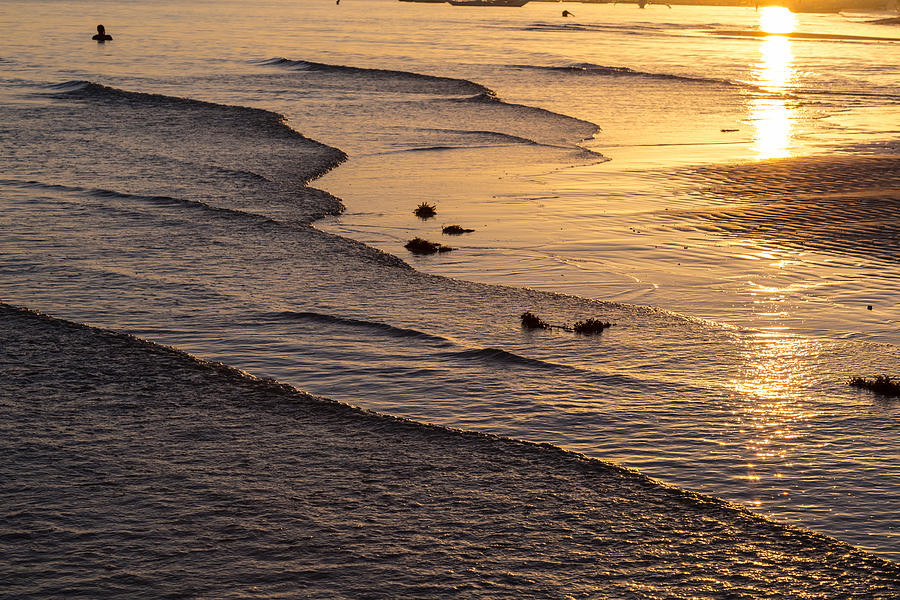 Golden Tide Photograph by James BO Insogna