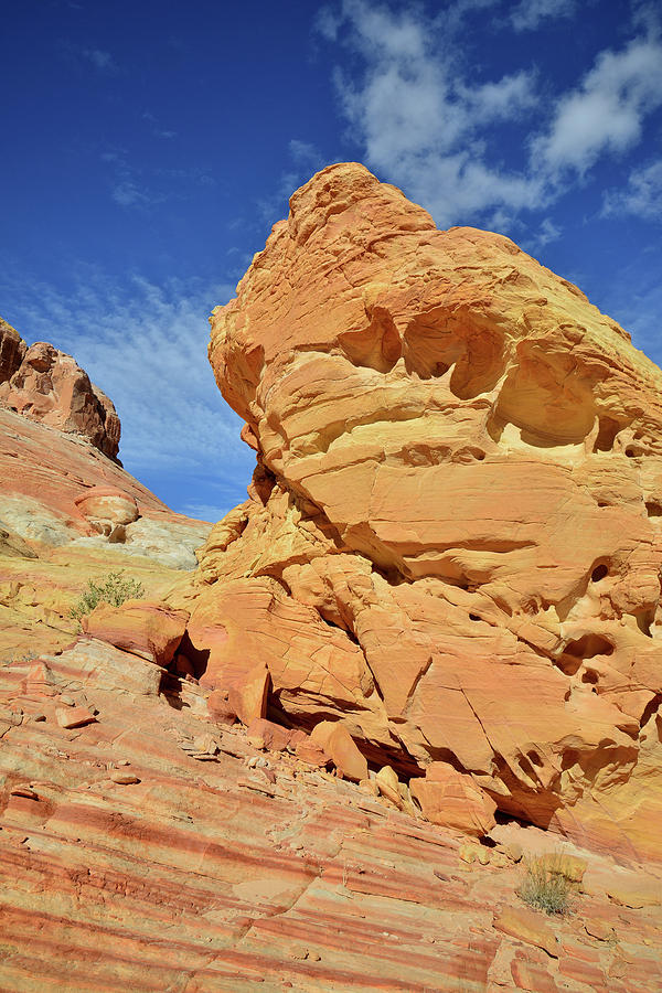 Golden Tower in Valley of Fire Photograph by Ray Mathis