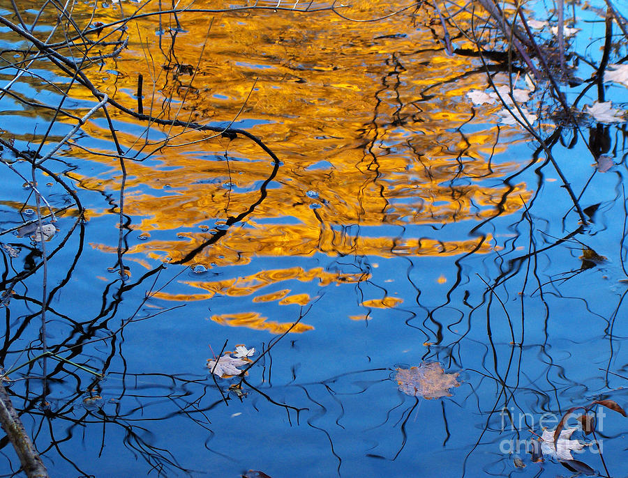 Abstract Photograph - Golden Tree by Kathi Mirto