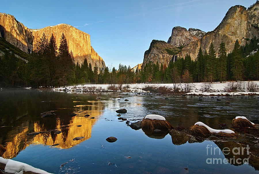Yosemite National Park Photograph - Golden View - Yosemite National Park. by Jamie Pham