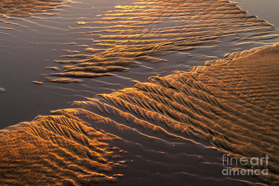 Golden Water and Sands Abstract Photograph by Heiko Koehrer-Wagner