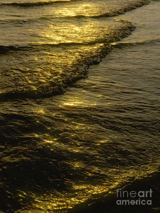 Golden Waves Photograph by Carol Lloyd