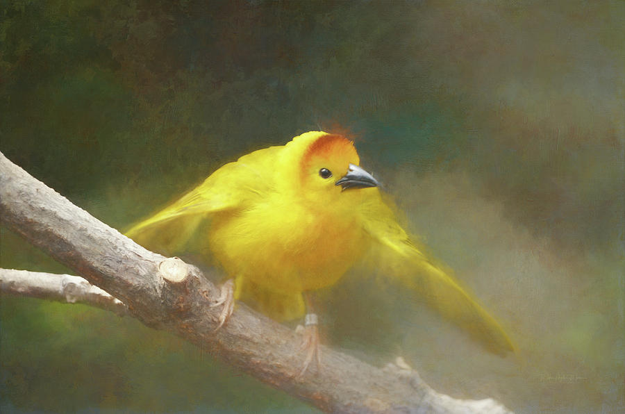 Nature Photograph - Golden Weaver - Digital Painting by Maria Angelica Maira