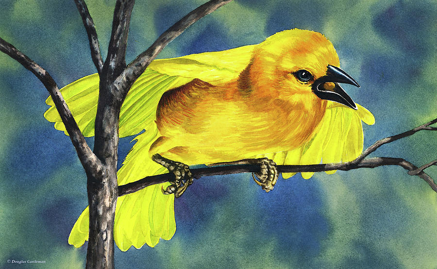 Golden Weaver Painting by Douglas Castleman