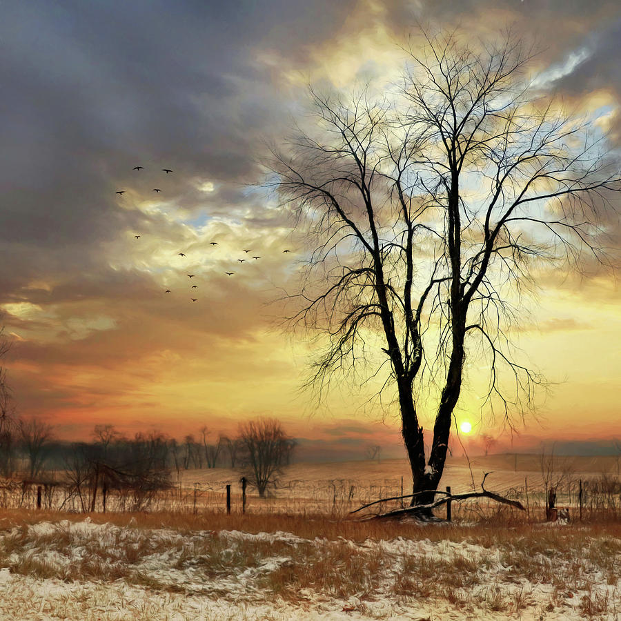 Golden Winter Sunset Photograph by Lori Deiter